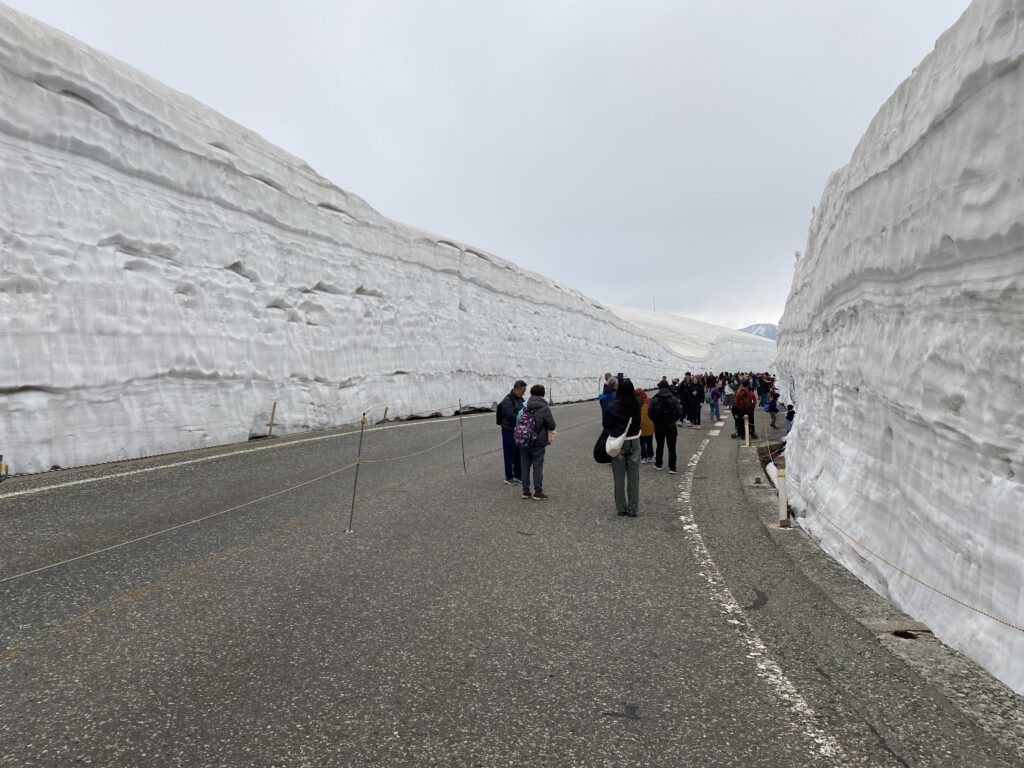 5/24　社員旅行　立山黒部横断の旅　雪の大谷