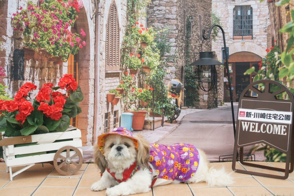 10/19　10/20　ABCハウジング　新・川崎住宅公園　秋のドッグフレンドリーウィーク　山創建設　Yamaso　ペットイベント　ブログ　　撮影スポット　記念撮影　2